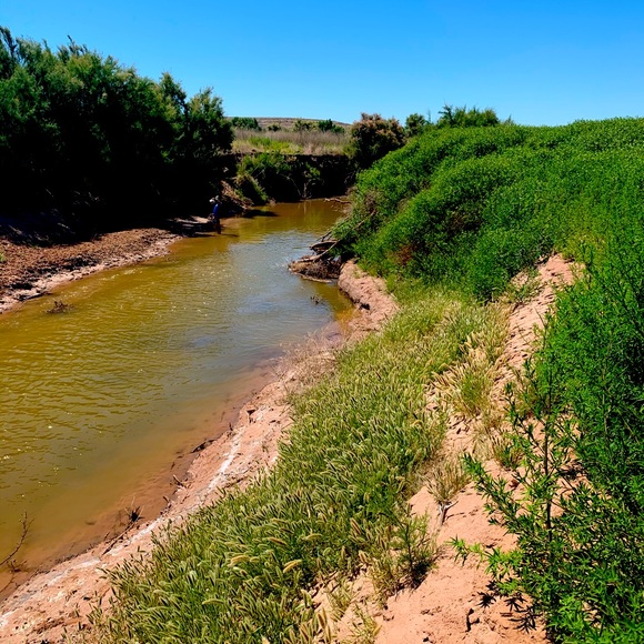 Meet your Posher, Allie - Picture 1 of 1